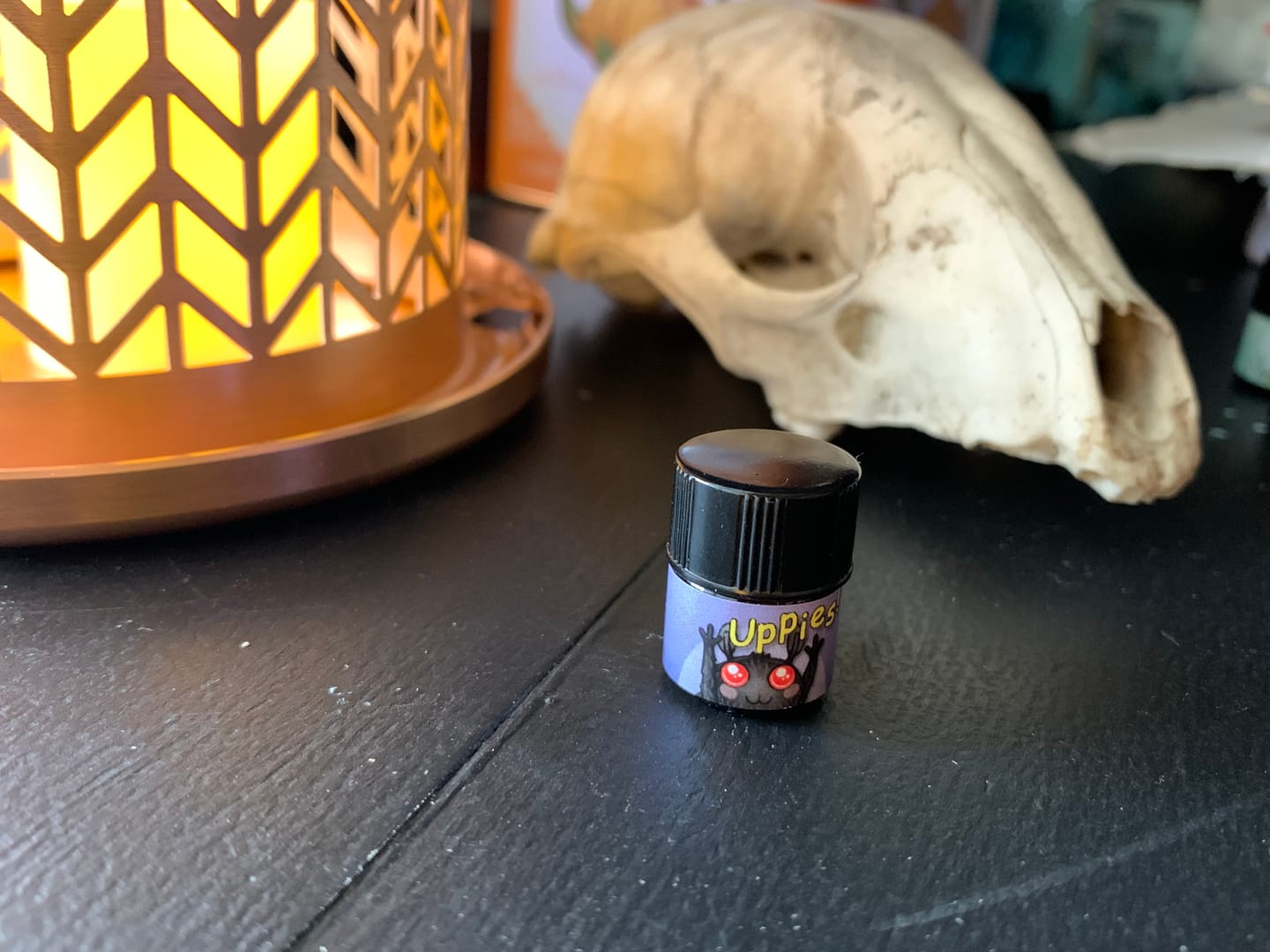 Customer photo review of Just A Lil' Moth Guy