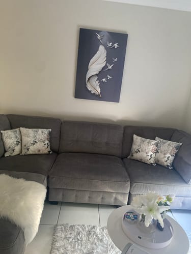 Customer photo review of WHITE DOVE FEATHER CANVAS