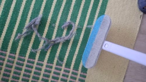 Customer photo review of Pet Hair & Lint Remover with Long Handle