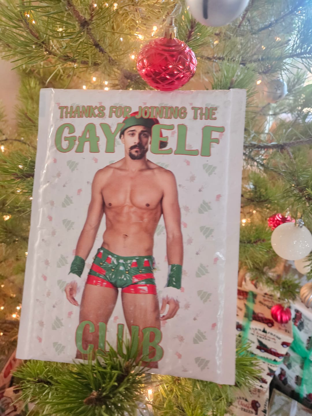 Customer photo review of Gay Elf Club Prank Package