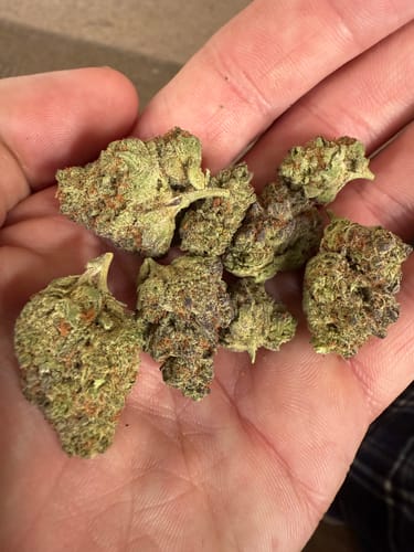 Customer photo review of Columbia Gold Flower