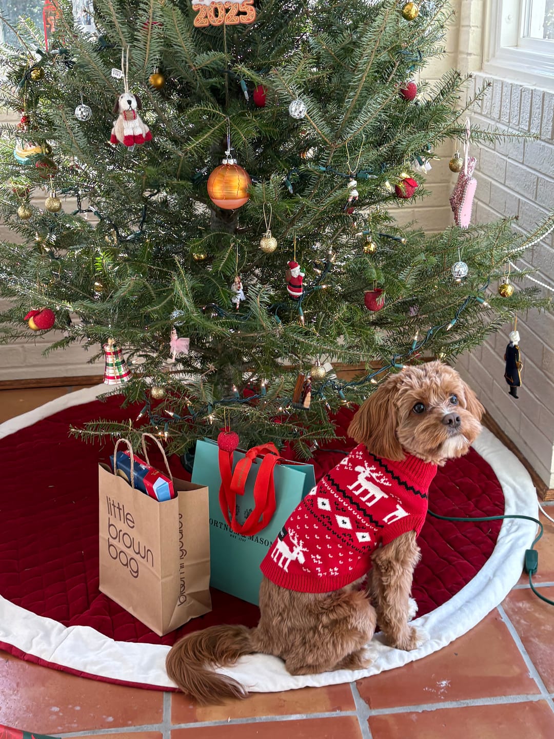 Customer photo review of Christmas Knit Dog Sweater
