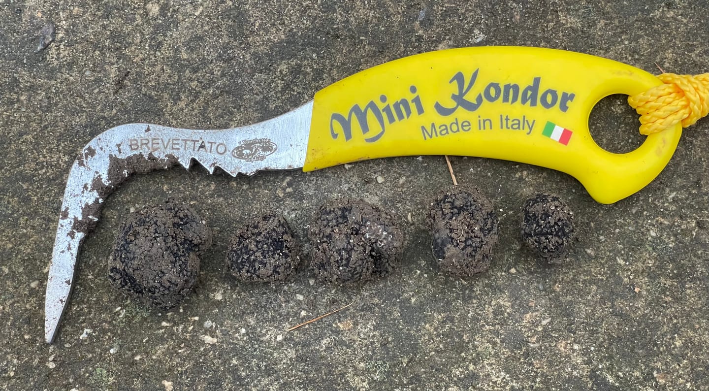 Customer photo review of Mini Kondor Trüffelwerkzeug