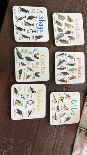 Customer photo review of Set of 6 Bird Pun Coasters