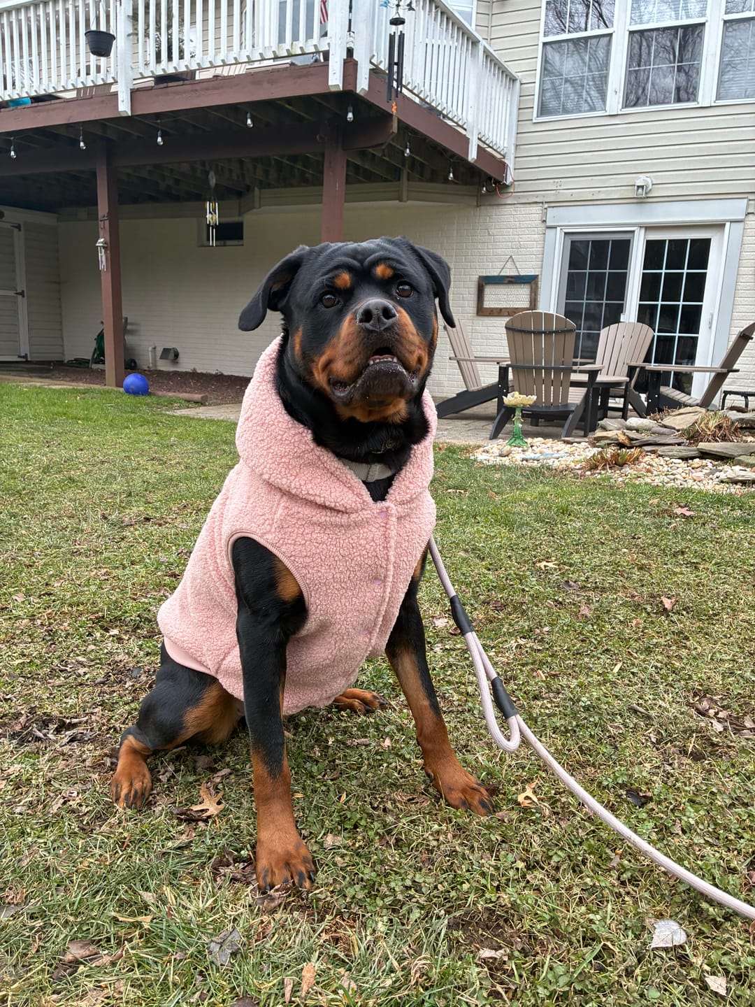 Customer photo review of Teddy Sherpa Jacket - Pink