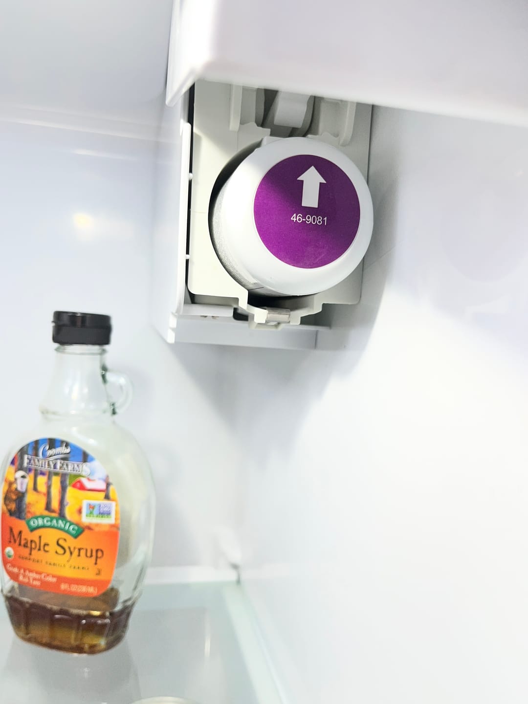 Customer photo review of Kenmore 9081 Refrigerator Water Filter