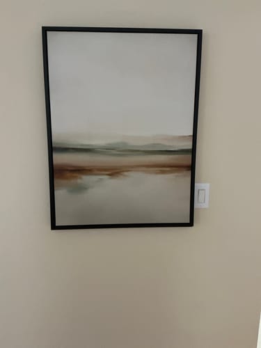 Customer photo review of Earthly Hues Abstract Canvas Art
