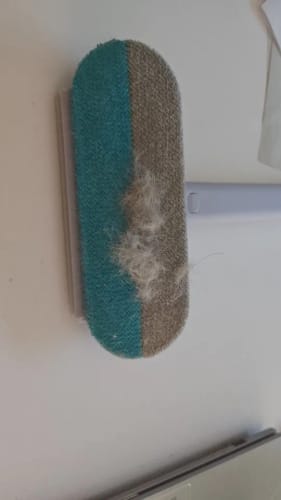 Customer photo review of Pet Hair & Lint Remover with Long Handle