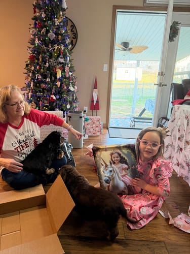 Reviewer's young granddaughter holding her Enchanted Unicorn Princess pillow gift by the Christmas tree.
