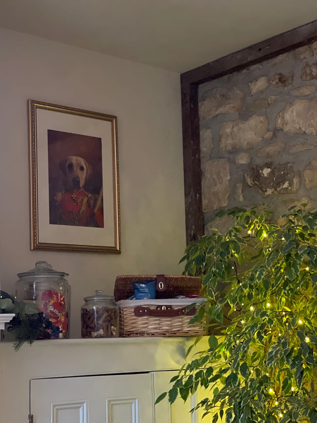 Customer photo review of The General: Custom Pet Portrait