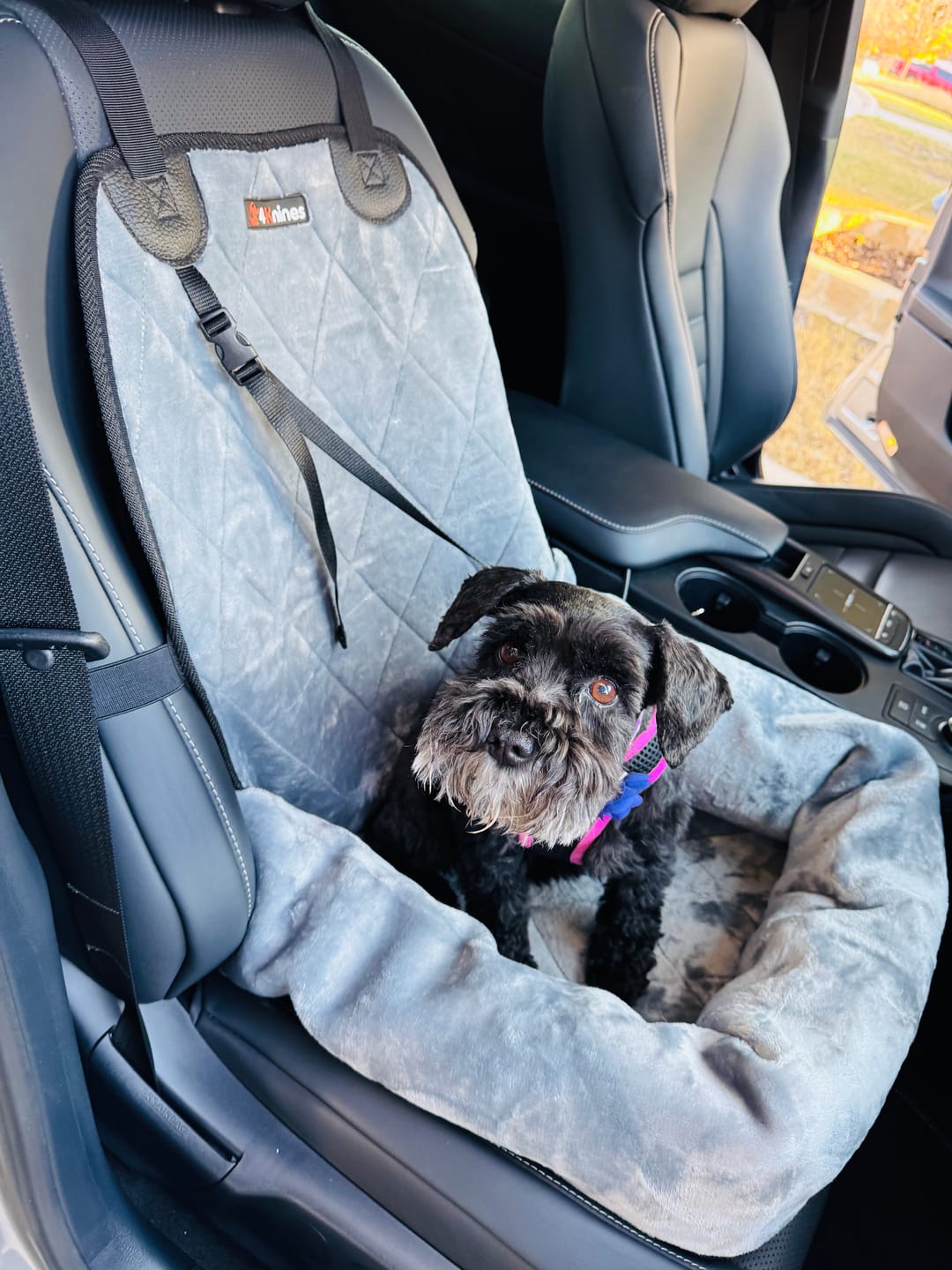 Customer photo review of Dog Car Seat – Plush Travel Dog Bed for Small and Medium Dogs