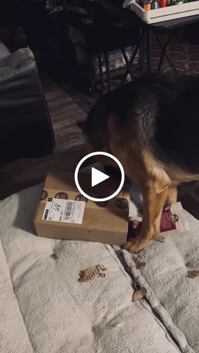 Customer video review of 5-6 Inch Champion Chew