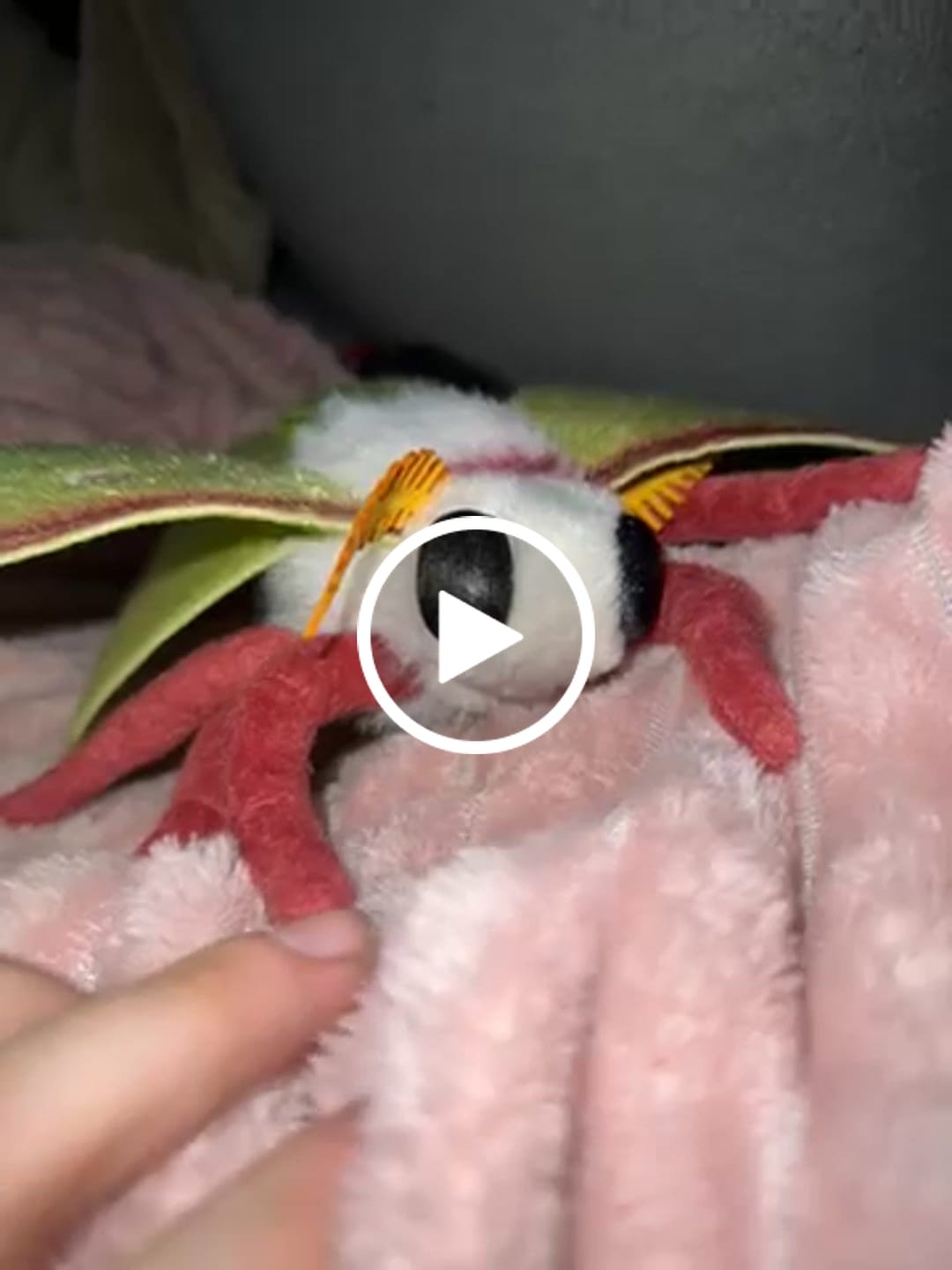 Customer video review of Indian Moon Moth Soft Stuffed Plush Toy