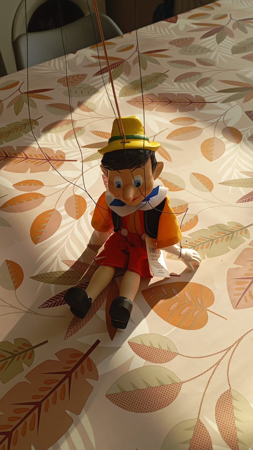 Customer photo review of Pinocchio Marionnette