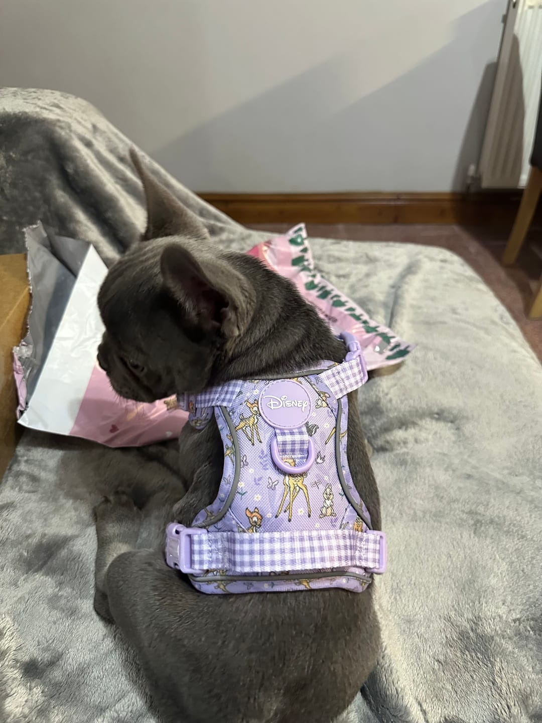Customer photo review of Disney© Tough Trails™ Harness - Bambi + Friends Lilac