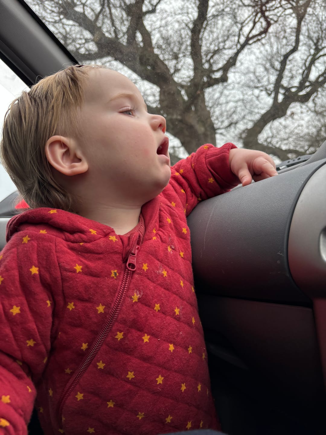 Customer photo review of Midnight Animals Organic Pyjamas