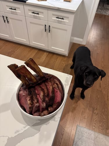 Reviewer's cooked and sliced Tomahawk Prime Rib Roast in a white bowl on a kitchen island, with a black dog looking up at it.