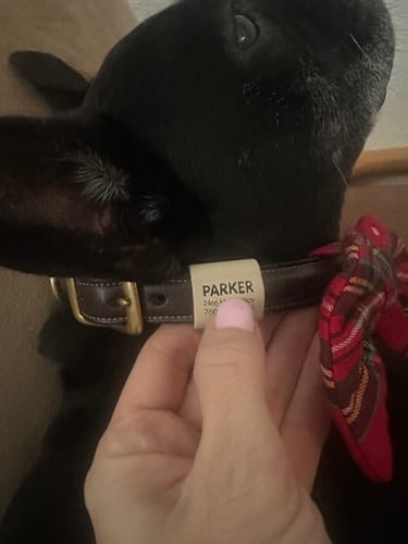 Customer photo review of Silent Slide-On ID Tag : Small 5/8"