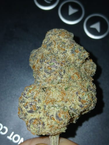 Customer photo review of Strawberry Shortcake