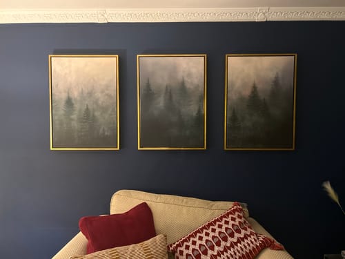 Customer photo review of Forest Edge at Dusk Set of 3 Prints