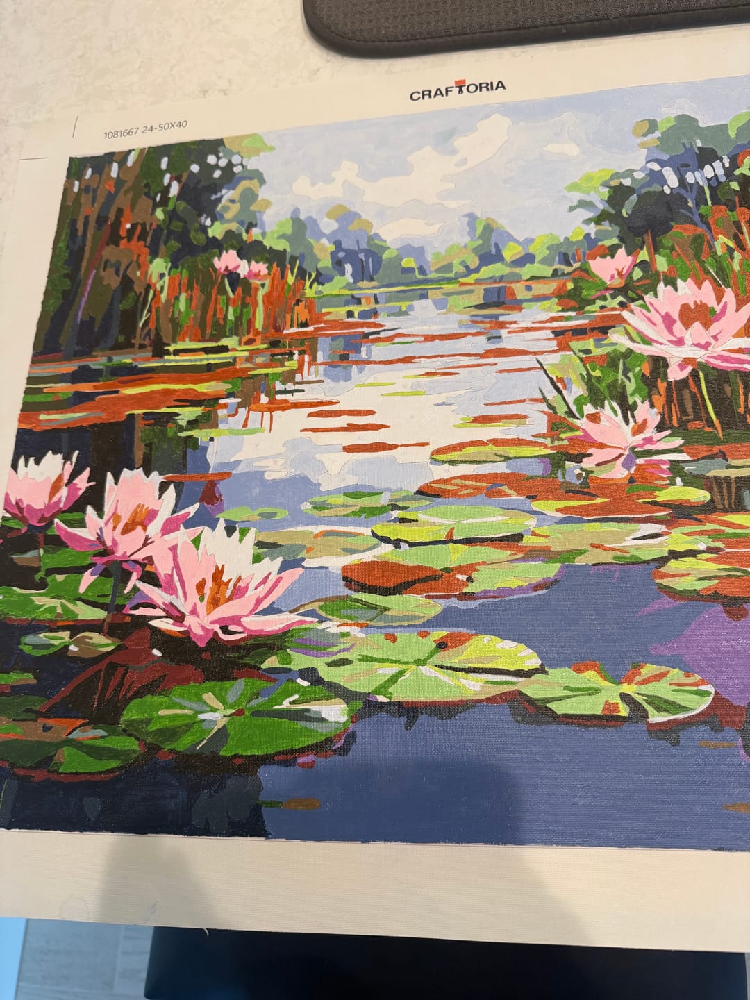 Customer photo review of Sky Reflections