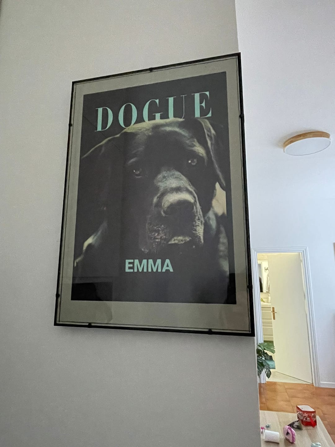 Customer photo review of Dogue - Poster personalizzato
