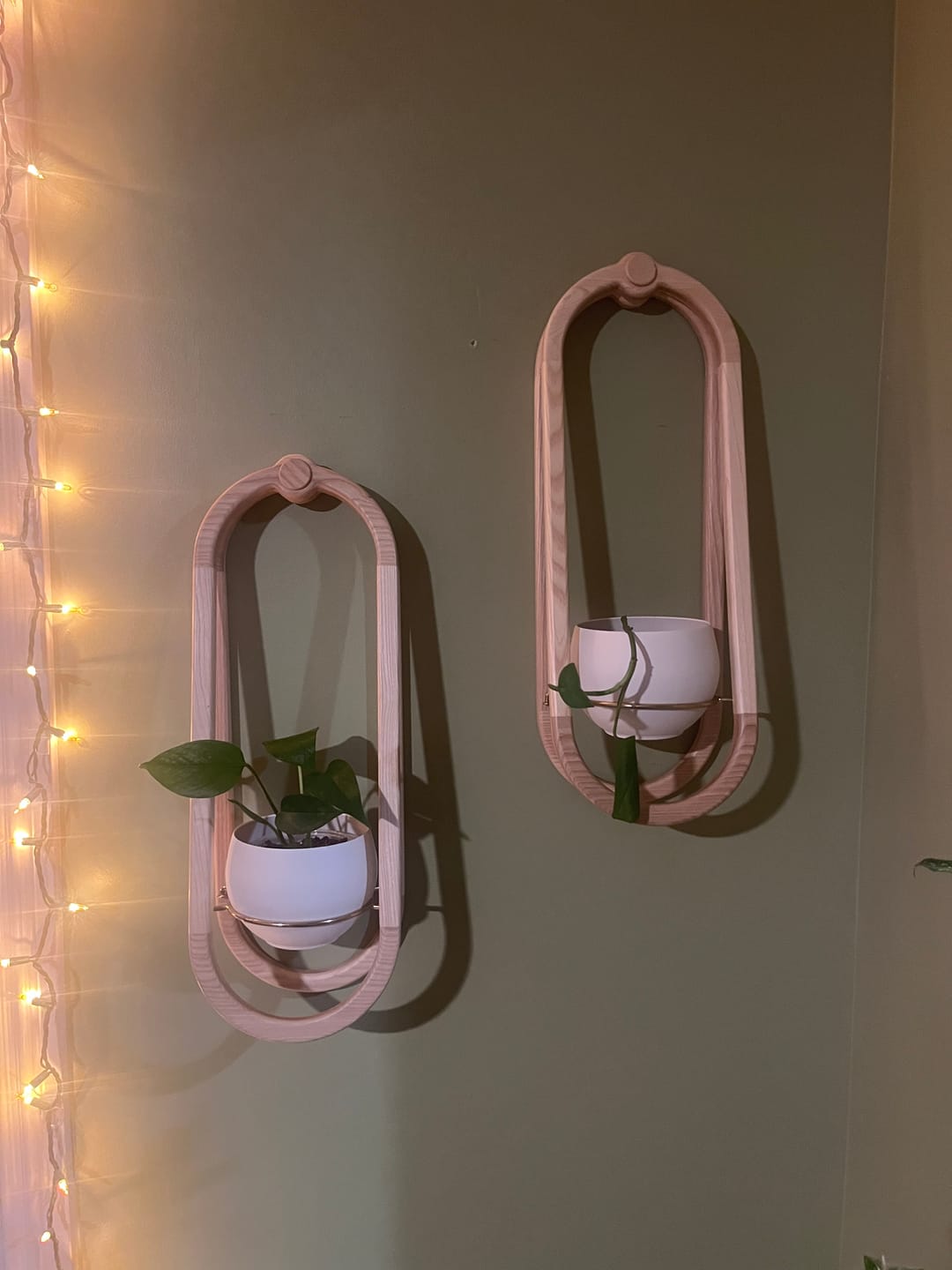 Customer photo review of Frame Wall Planter + Pot Duo