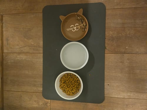 Customer photo review of Absorbent Coffee Bar Mat - Brown