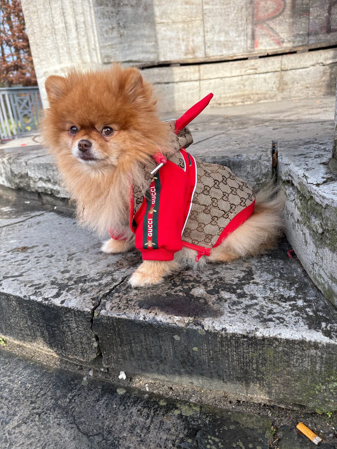Customer photo review of EAR GULLNA WARM COAT HIGH QUALITY