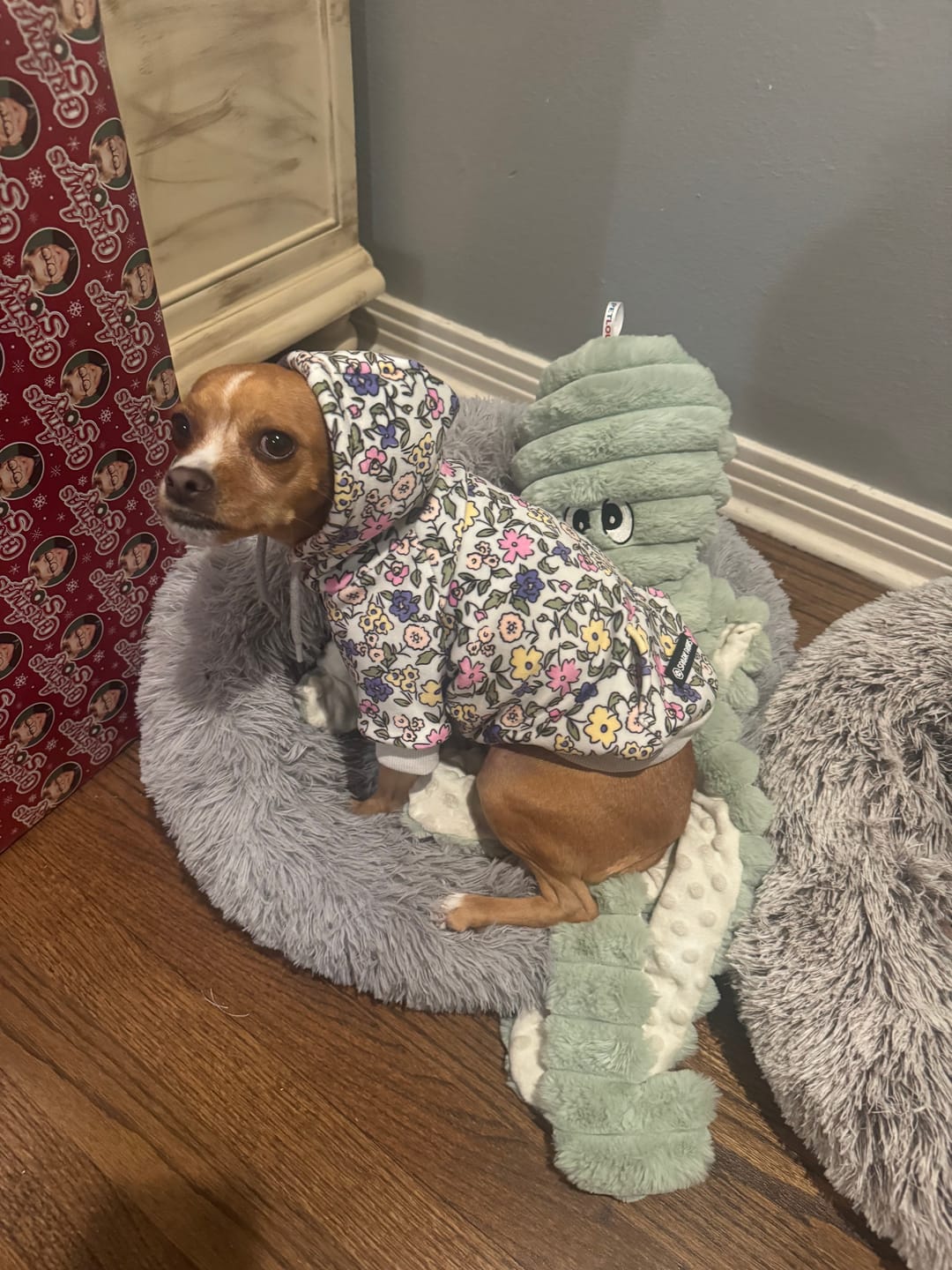 Customer photo review of Vintage Flower Dog Hoodie - Light Grey