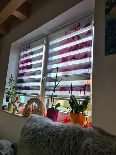 Customer photo review of Foto Klemmfix Doppelrollo "Orchidee auf Spasteinen"