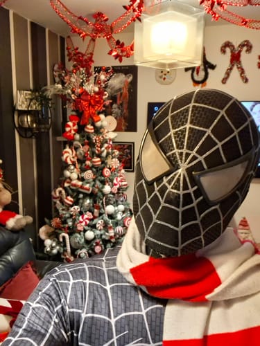 Customer photo review of [NEW] Spidey Gear™ - Tobey Maguire Mask