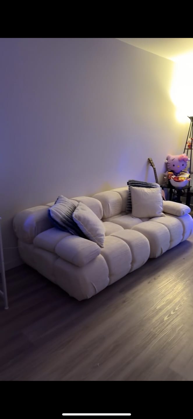 Customer photo review of Marshbello Loveseat