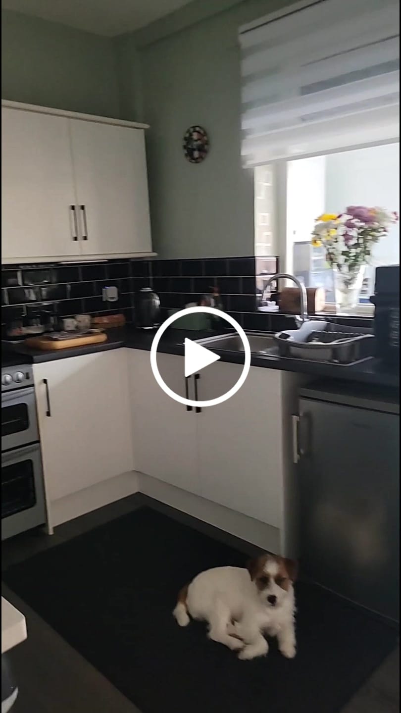 Customer video review of Scale It Down - Limescale cleaner