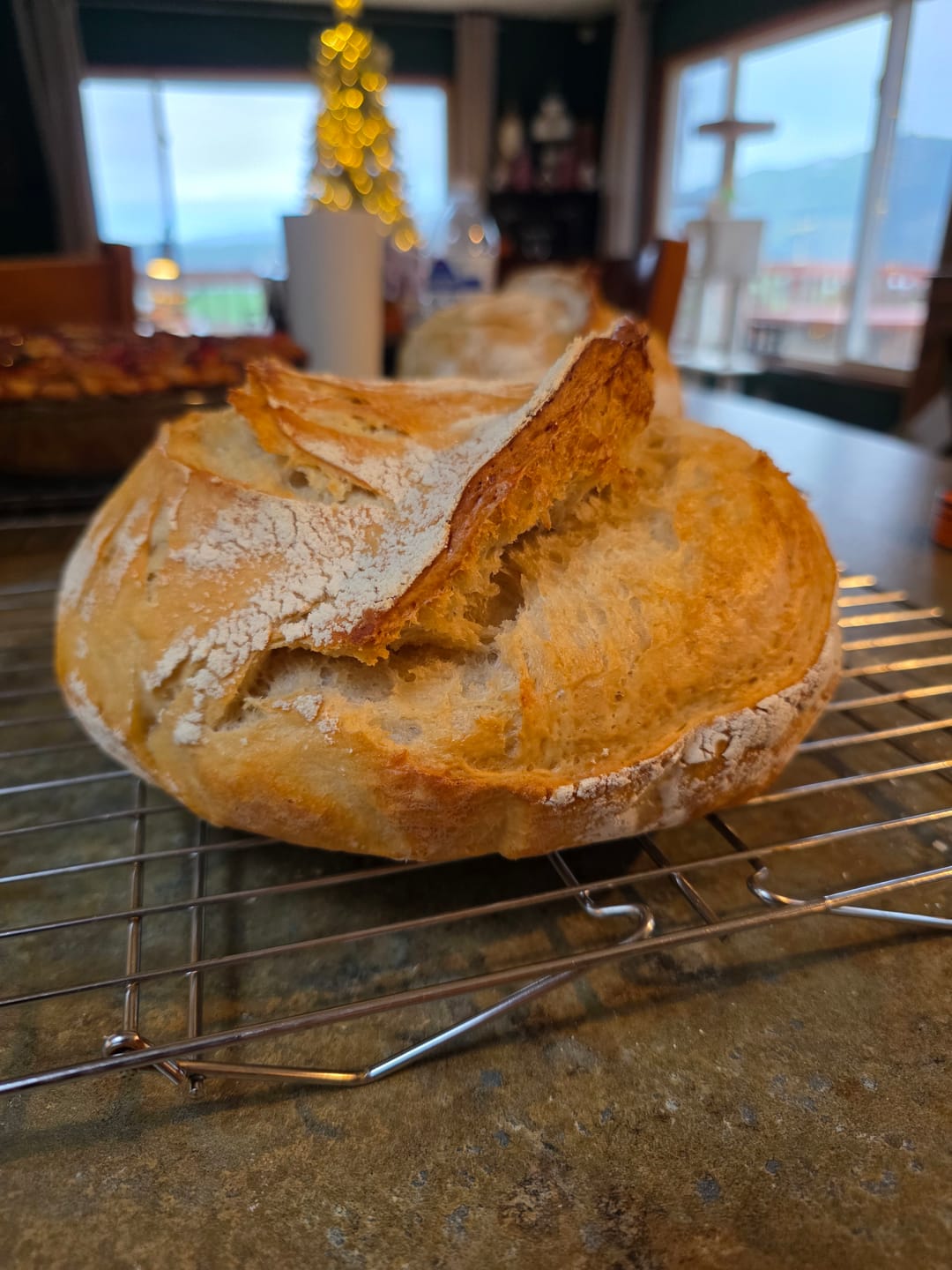 Customer photo review of Sourdough Recipe Bundle: A Collection Of 5 Our Most Viral & Requested Recipes!