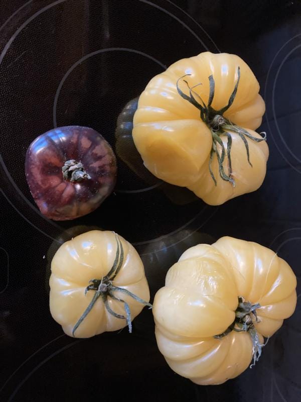 Customer photo review of Tomaten Mix von Julian Box 3kg