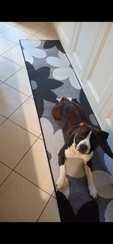 Customer photo review of Tappeto passatoia da Cucina 3D con Fiore Tridimensionale – Morbido, Bordato, Moderno e Antiscivolo Varie misure