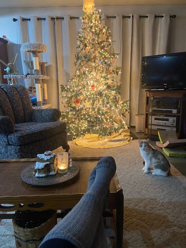Customer relaxing with their feet up, wearing charcoal heather Over The Calf Socks in a cozy room with a Christmas tree.