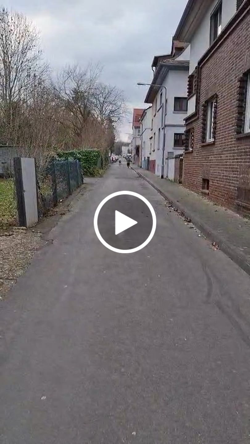 Customer video review of whizzy Kids XMAS Bike | JuniorCruiser 16'' Fahrrad Leichtgewicht