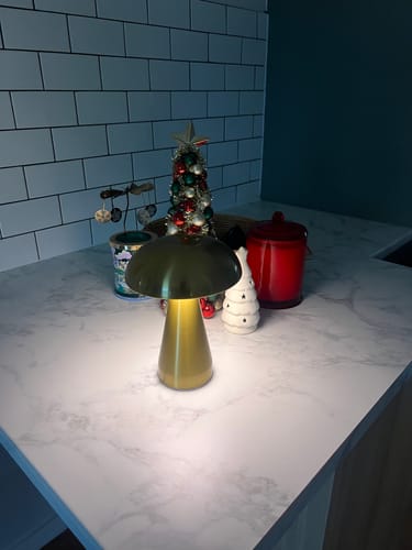 Customer photo review of Portable Metal Touch Lamp | Brassy Gold