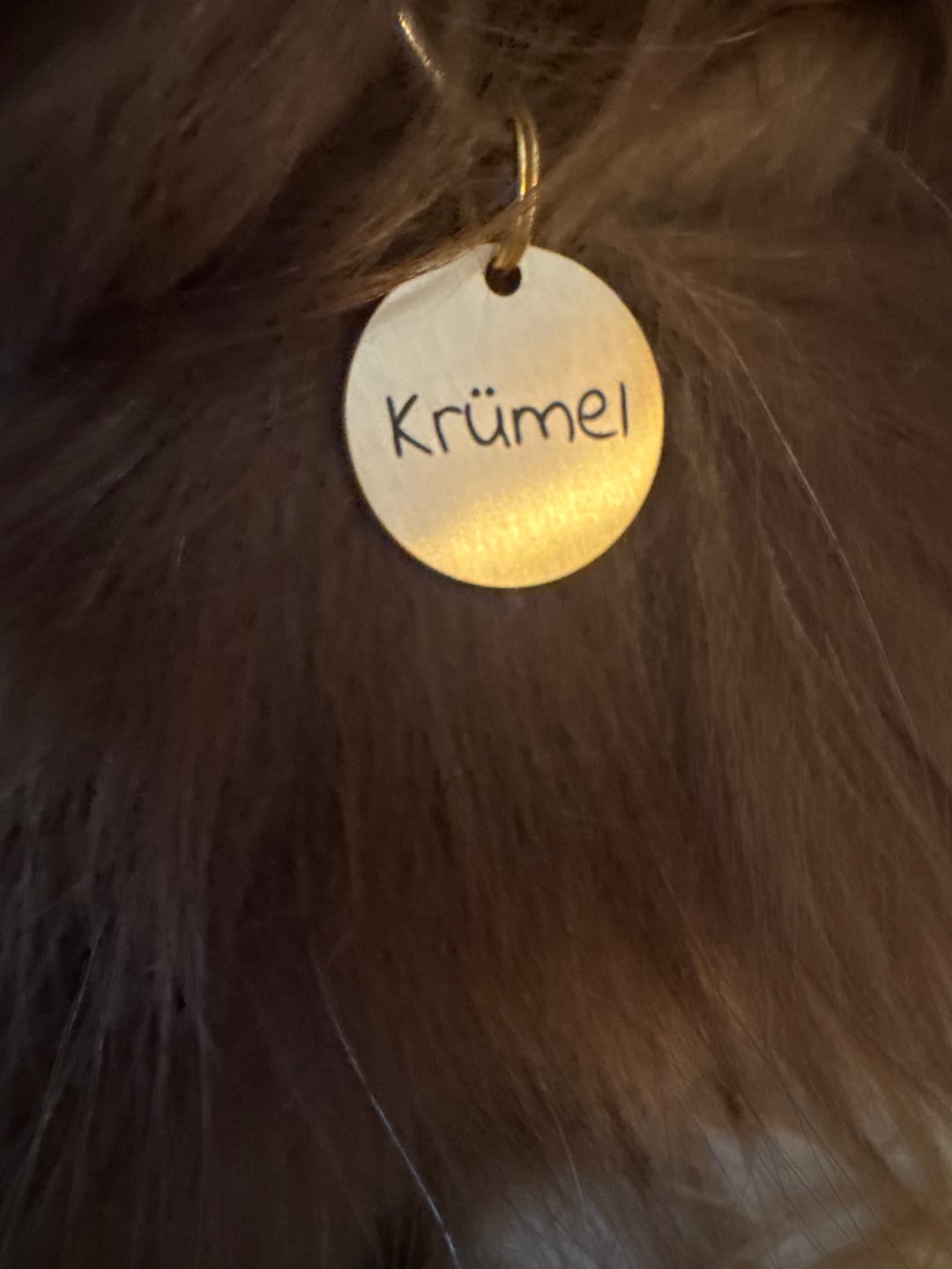 Customer photo review of Hundemarke mit Gravur, Name und Telefon personalisiert, rund, 25mm oder 30mm in verschiedenen Farben