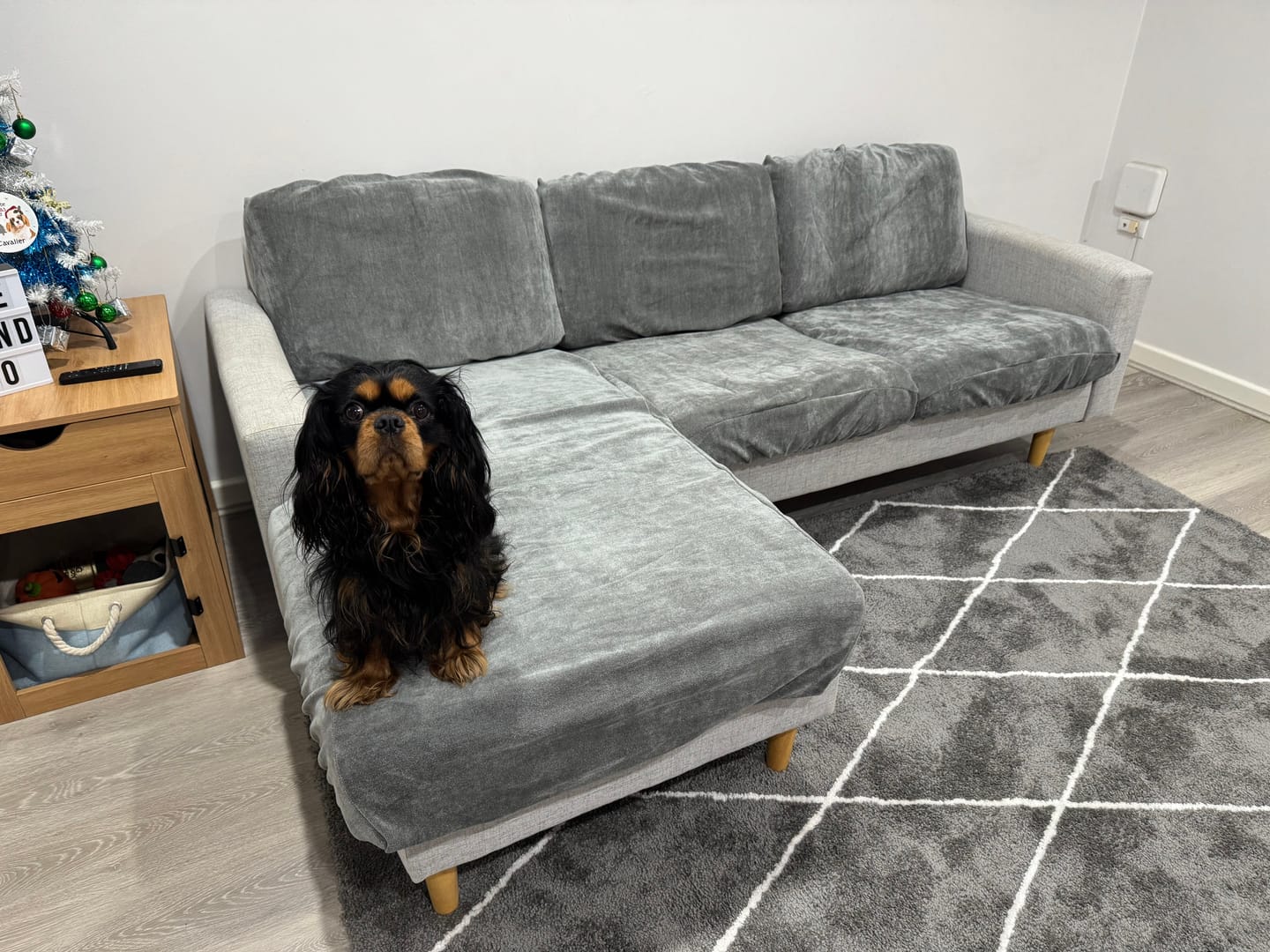 Customer photo review of Performance+ Couch Covers