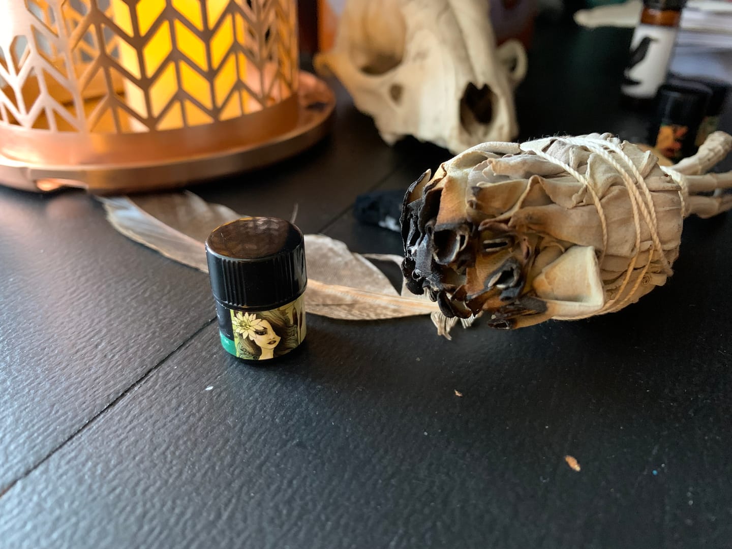 Customer photo review of Bog Witch