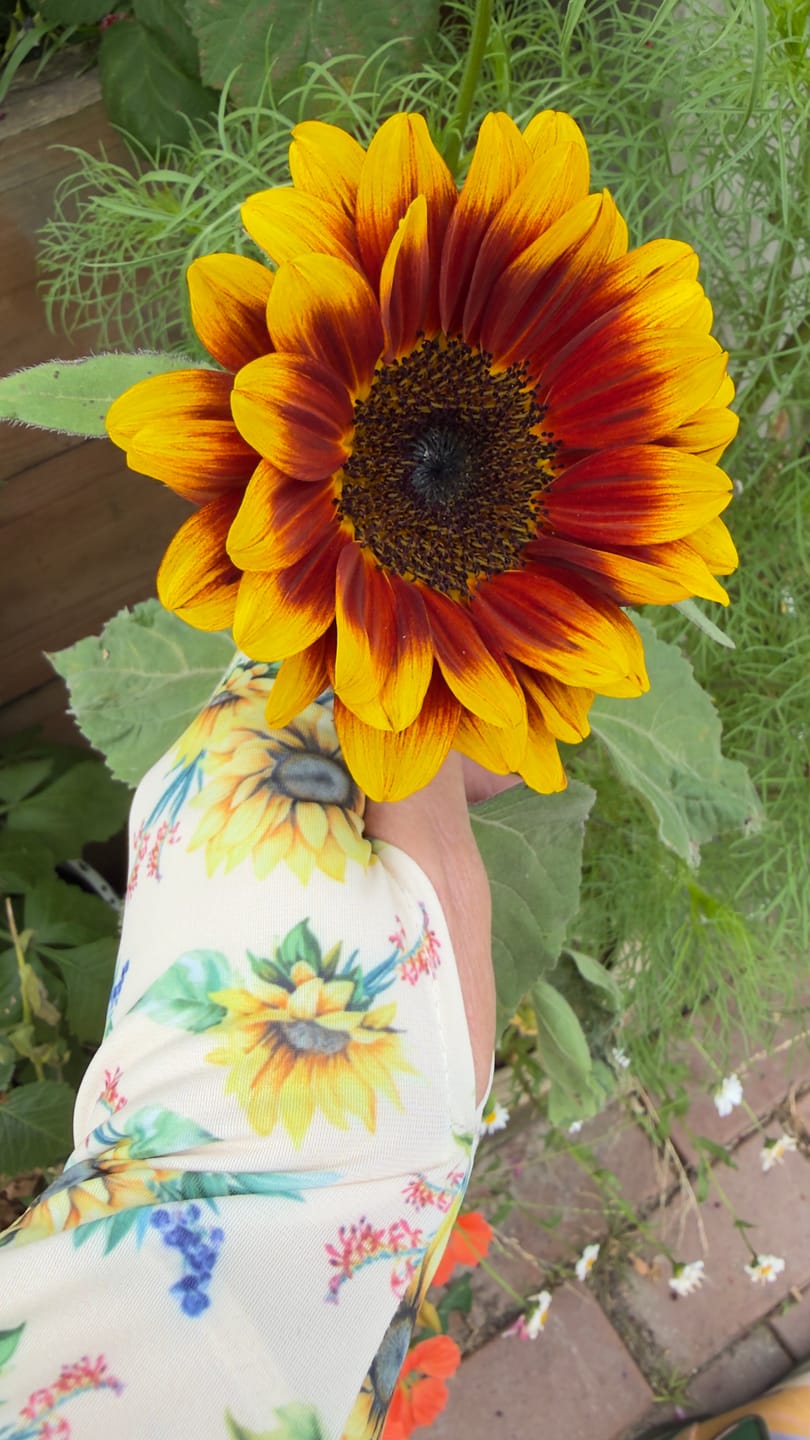 Customer photo review of Gardening Protection Sleeves - Sunflower Cream