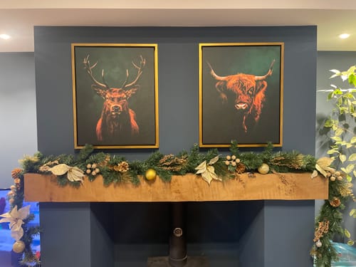 Customer photo review of Highlands Set of 2 Prints