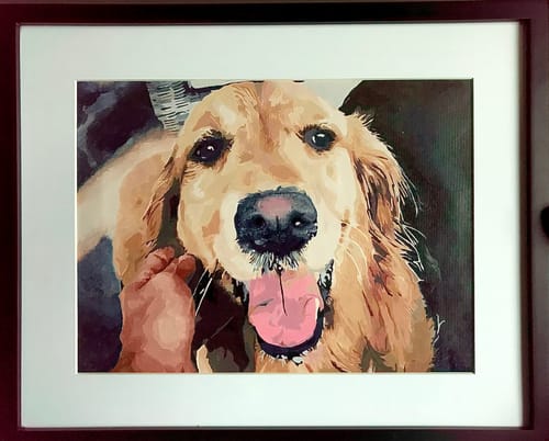 Customer's finished Custom Paint By Numbers Kit, showing a framed portrait of a happy golden retriever being petted.