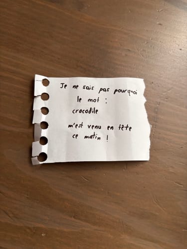Customer photo review of New PITATA Thermal Notepad (Blue Ink) & Thermal Paper Roll