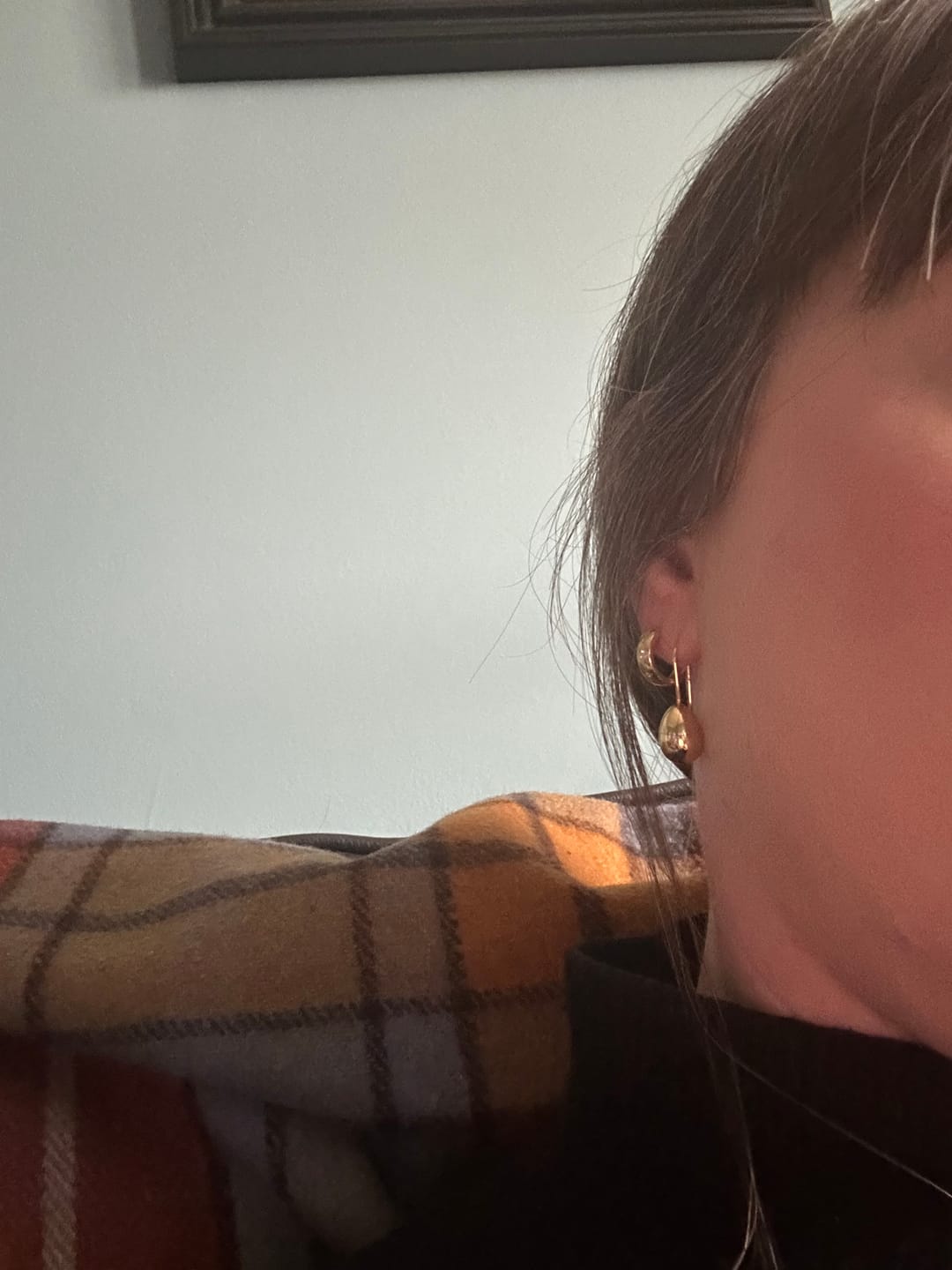 Customer photo review of Bella Hook Earrings