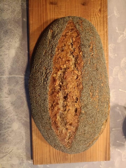 Customer photo review of BIO Backfreude Sauerteig-Kit: Anstellgut & Knusperrezepte (150g)