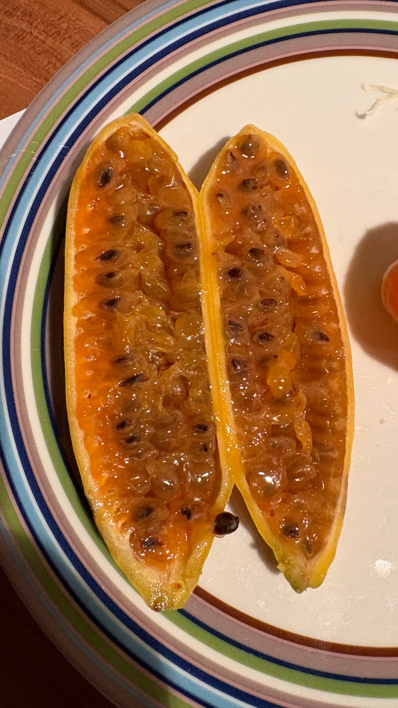 Customer photo review of Curuba (Bananen-Maracuja)